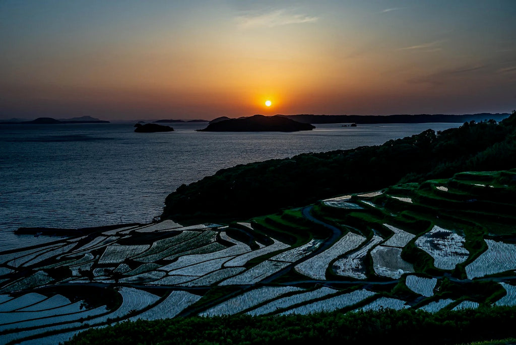 土谷棚田の夕陽