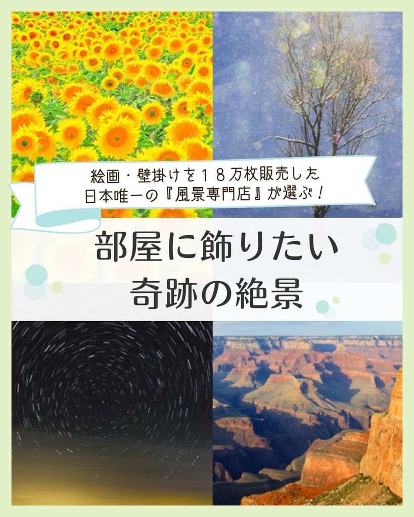 アートフォト　ひまわり畑