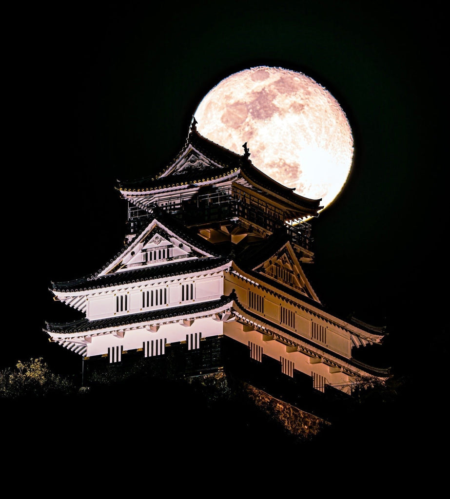 岐阜城と月