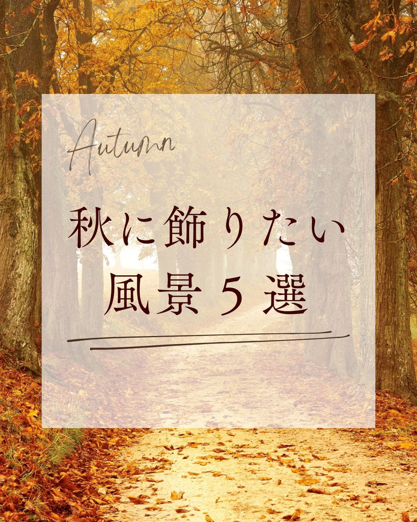 ＼秋に飾りたい風景５選／