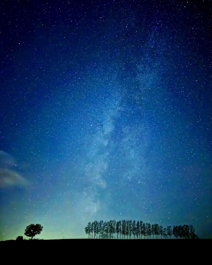 天の川とセブンスターの木