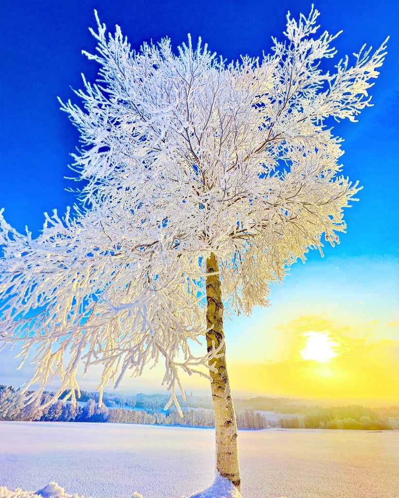 寒さをふわっと包み込む絵という光をプラスしよう！