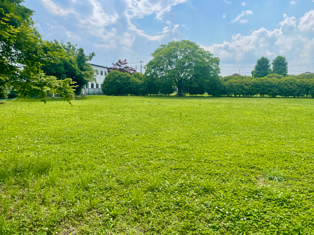 オフィス近所の公園。